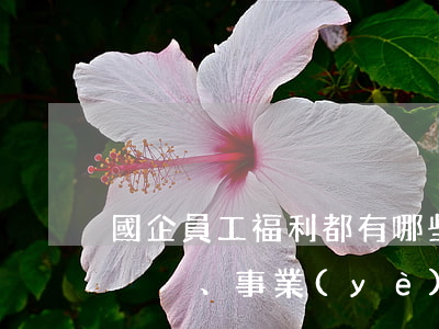 國企員工福利都有哪些內(nèi)容（國企、事業(yè)單位職工福利通過哪些形式表現(xiàn)出來）